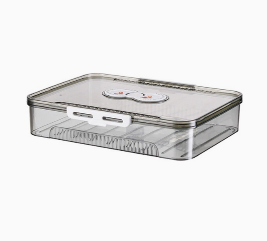 Transparent Dumpling Storage Box