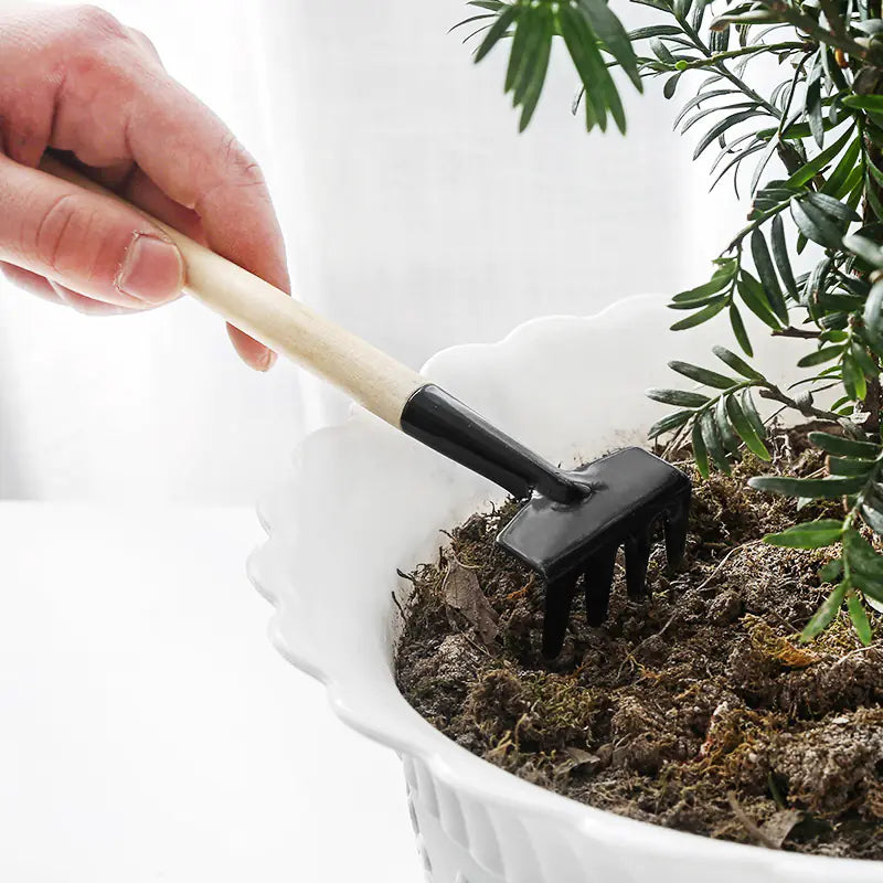 3-Piece Home Gardening Tool Set for Mini Planters